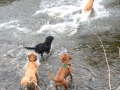 Eddie & friends - water chase